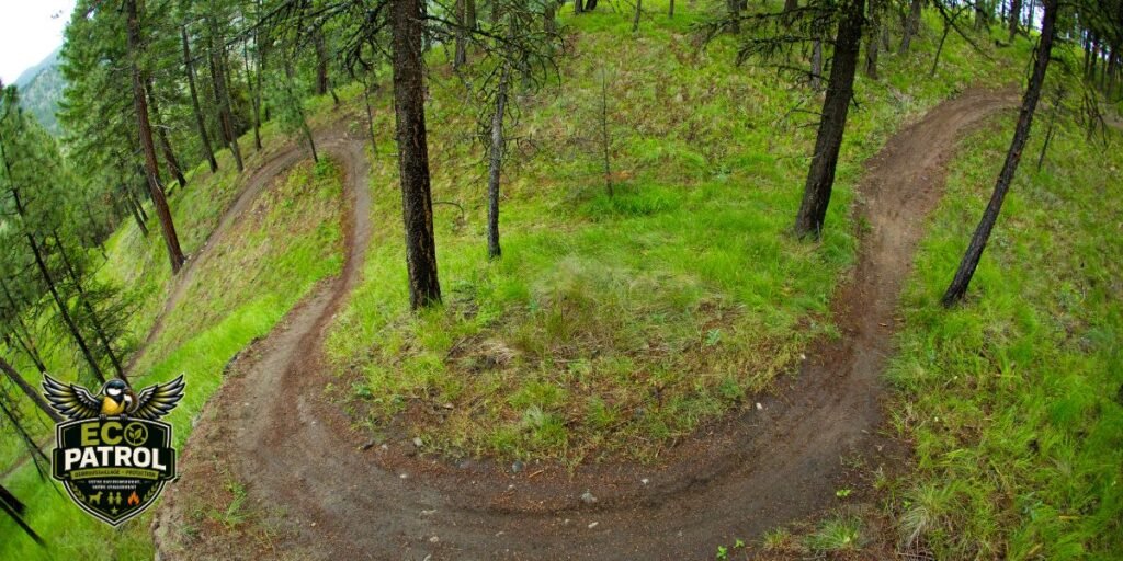 creation-sentier-vtt-pedestre