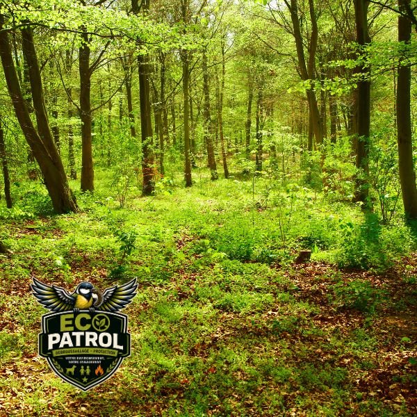 Débroussaillage d'un terrain en Occitanie par ECO PATROL